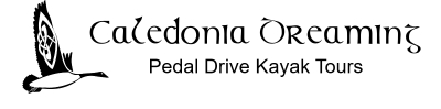 Logo for Caledonia Dreaming